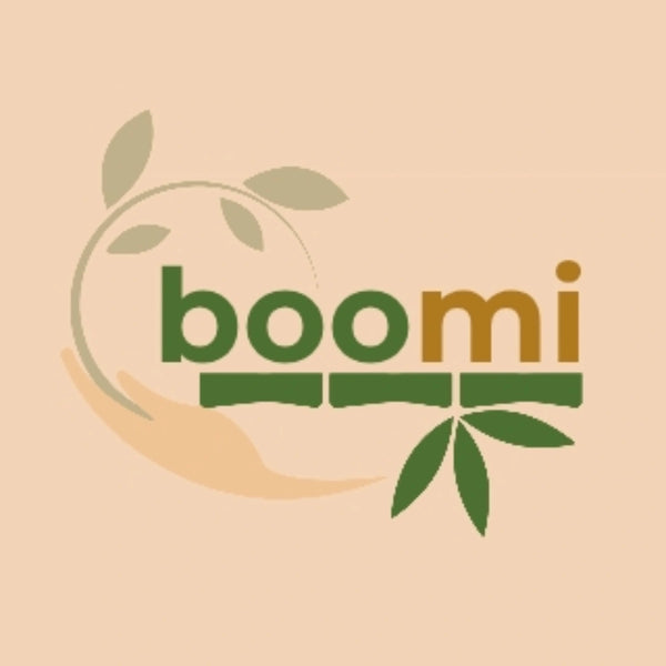 Boomi Essentials